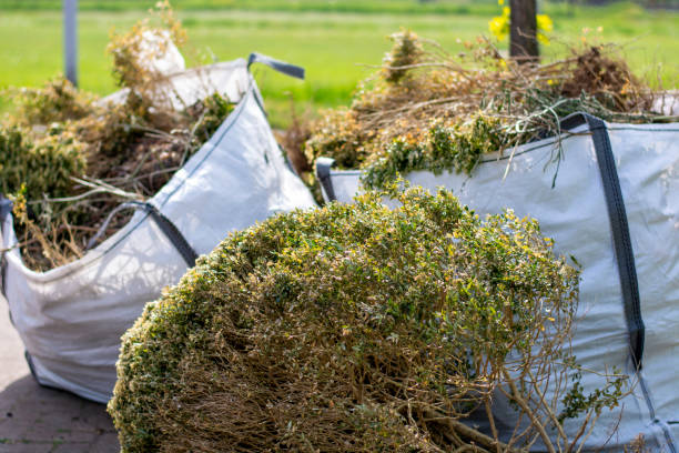 Best Hoarding Cleanup  in Mino, CA